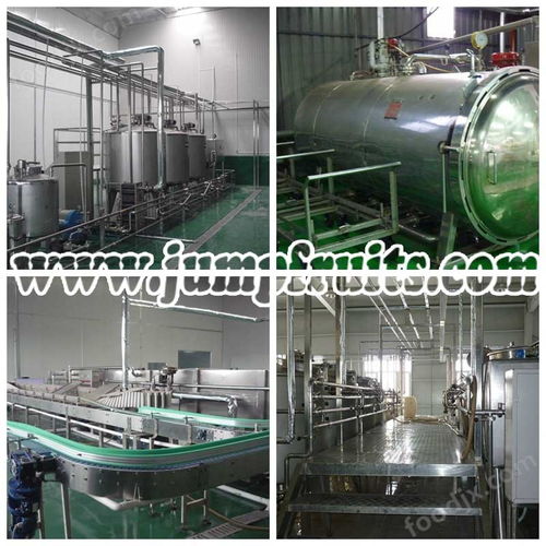 直銷特色優(yōu)質(zhì)果酒設備果酒生產(chǎn)線設備價格