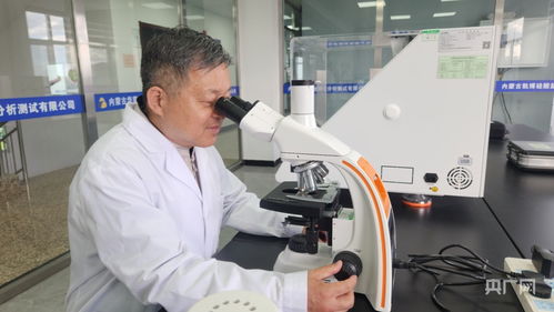 智匯草原 筑夢北疆丨科技幫扶讓 石中生金