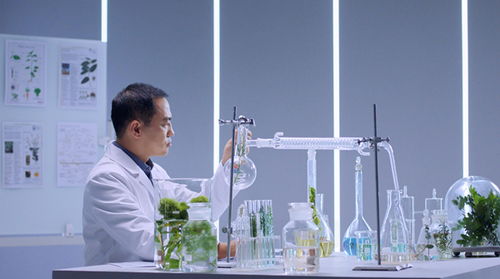 谷雨生物科技獲上市輔導備案 科研實力助力其持續(xù)增長