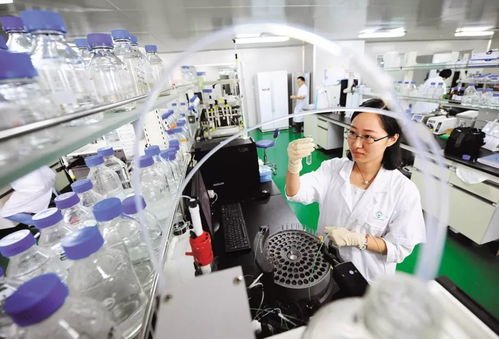 光谷 牧羊 瞪羚企業(yè)總數超900家,已成長出6家獨角獸 9家上市公司