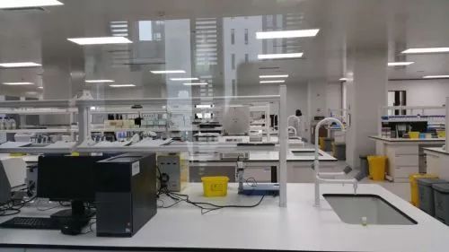 新舊動能轉(zhuǎn)換丨生物技術(shù)研發(fā)中心投入使用 市北生物科技創(chuàng)新集聚效應(yīng)初步顯現(xiàn)