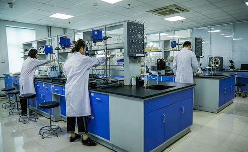 打破國外酶制劑的長期壟斷 強微特 研發(fā)真實力深耕生物技術(shù)行業(yè)