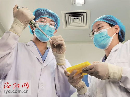 洛陽惠中生物技術(shù) 研發(fā)高端疫苗產(chǎn)品 為畜牧業(yè)保駕護航