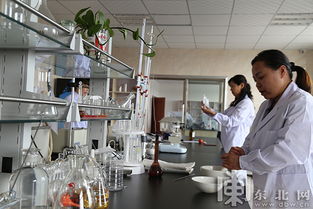 生物發(fā)酵讓玉米瓤子變廢為寶 助力我省農(nóng)業(yè)轉(zhuǎn)型升級
