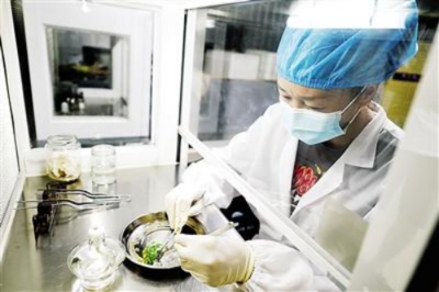 【閩北日?qǐng)?bào)】福建良種生物科技與福建林業(yè)職業(yè)技術(shù)學(xué)院等科研院校開(kāi)展合作