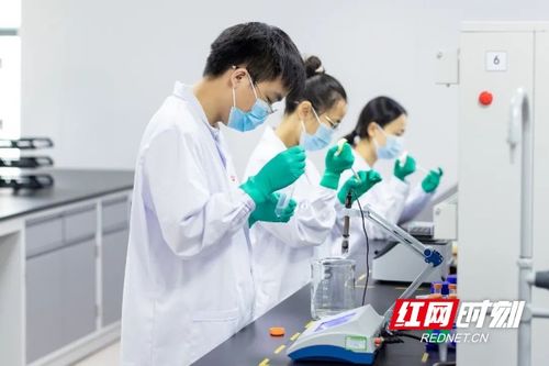 2025已過半 湖南 科技 的盲盒開出了什么
