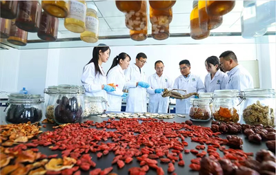 張掖市科學(xué)技術(shù)局推動(dòng)生物科技技術(shù)研發(fā)的策略與路徑