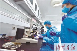 洛城生物科技加速器的組織器官再生技術(shù)研發(fā)熱潮