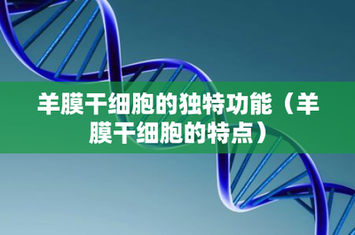 羊膜干細(xì)胞的獨(dú)特功能及其在生物科技研發(fā)中的前景