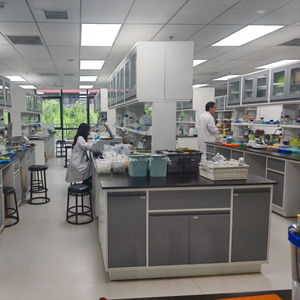 生物科技新突破 北京企業(yè)研發(fā)出零熱量、味道純正的糖