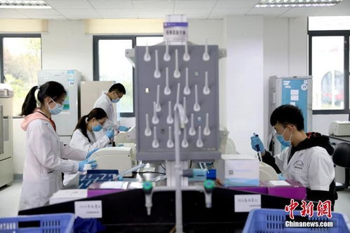 接種卡介苗或降低新冠肺炎風(fēng)險？專家解析疫苗交叉保護(hù)與生物技術(shù)研發(fā)前景